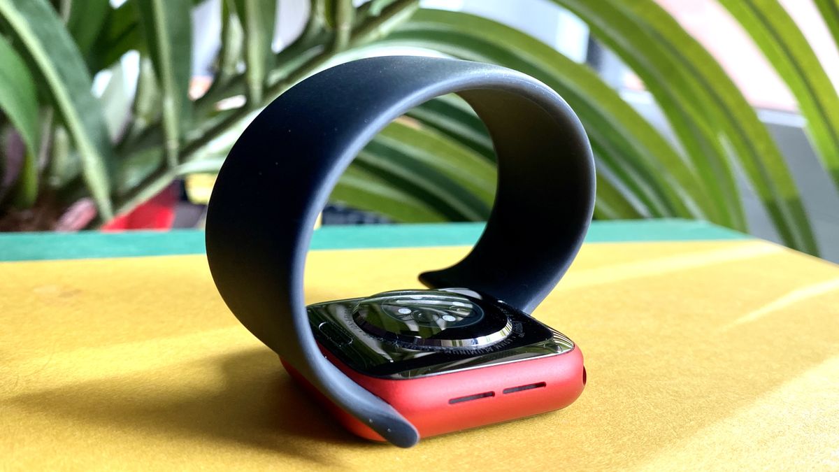 Apple Watch 6 Solo Loop