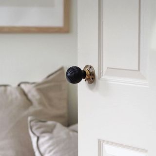 beehive knob on white door