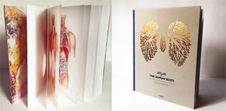 Painting and die-cut for Cicada books, Atlas of the Human Body (2014)