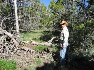 Study co-author Rich Friedman standing in the middle of processional road/ditch south of Mummy Lake in Colorado's Mesa Verde National Park.