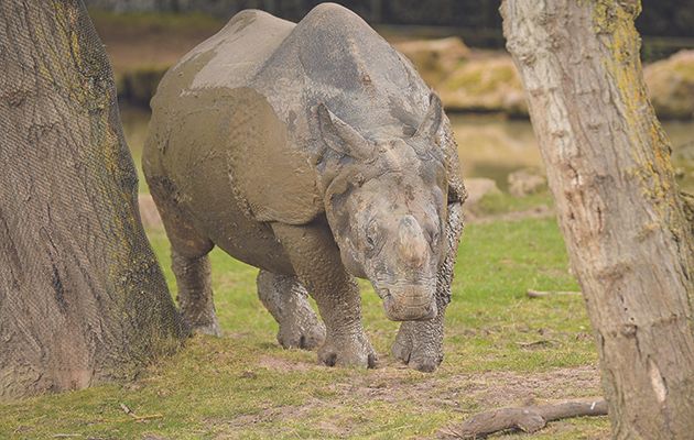 Cameras return to Chester Zoo, home to 20,000 animals, to let us in on more after-hours secrets.