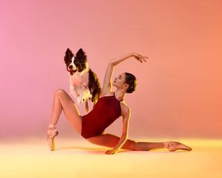Beautiful photo series features dogs and professional dancers