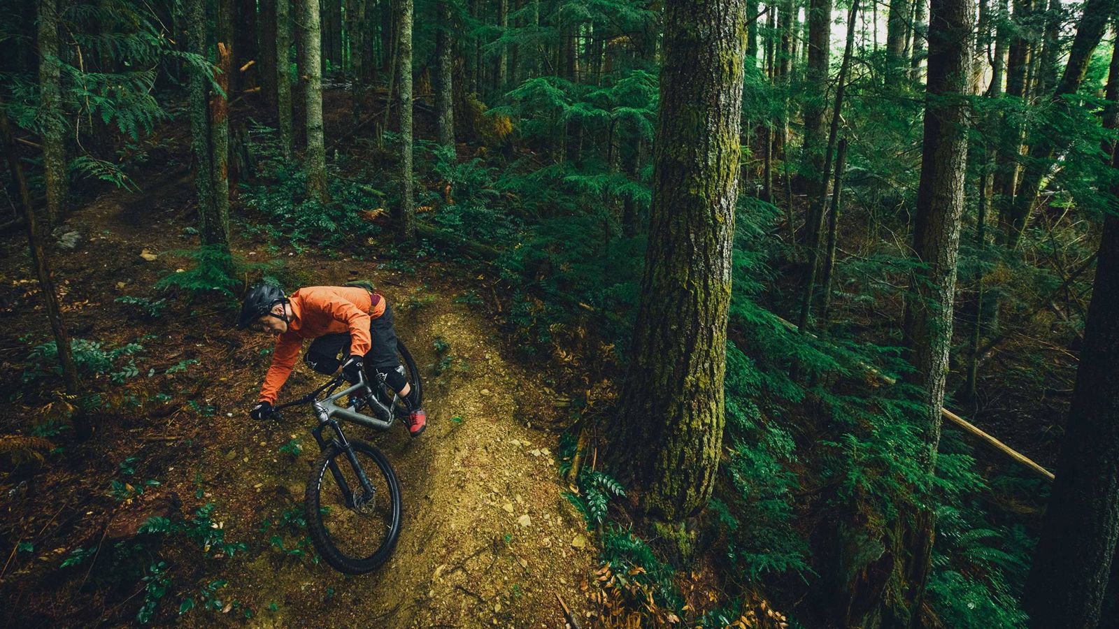 best bikes under 2500