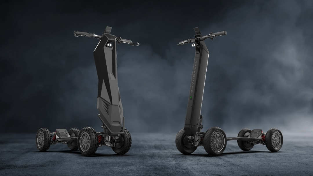 The D-Fly Dragonfly electric scooter comes in two distinct variants