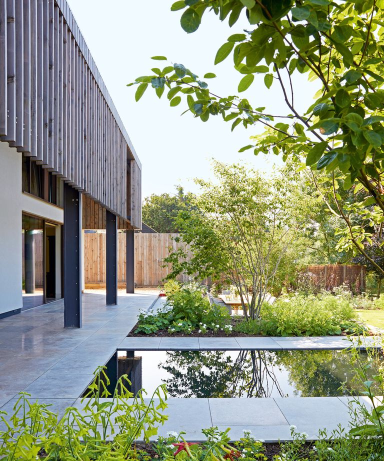 How to get rid of moss on a patio Homes & Gardens