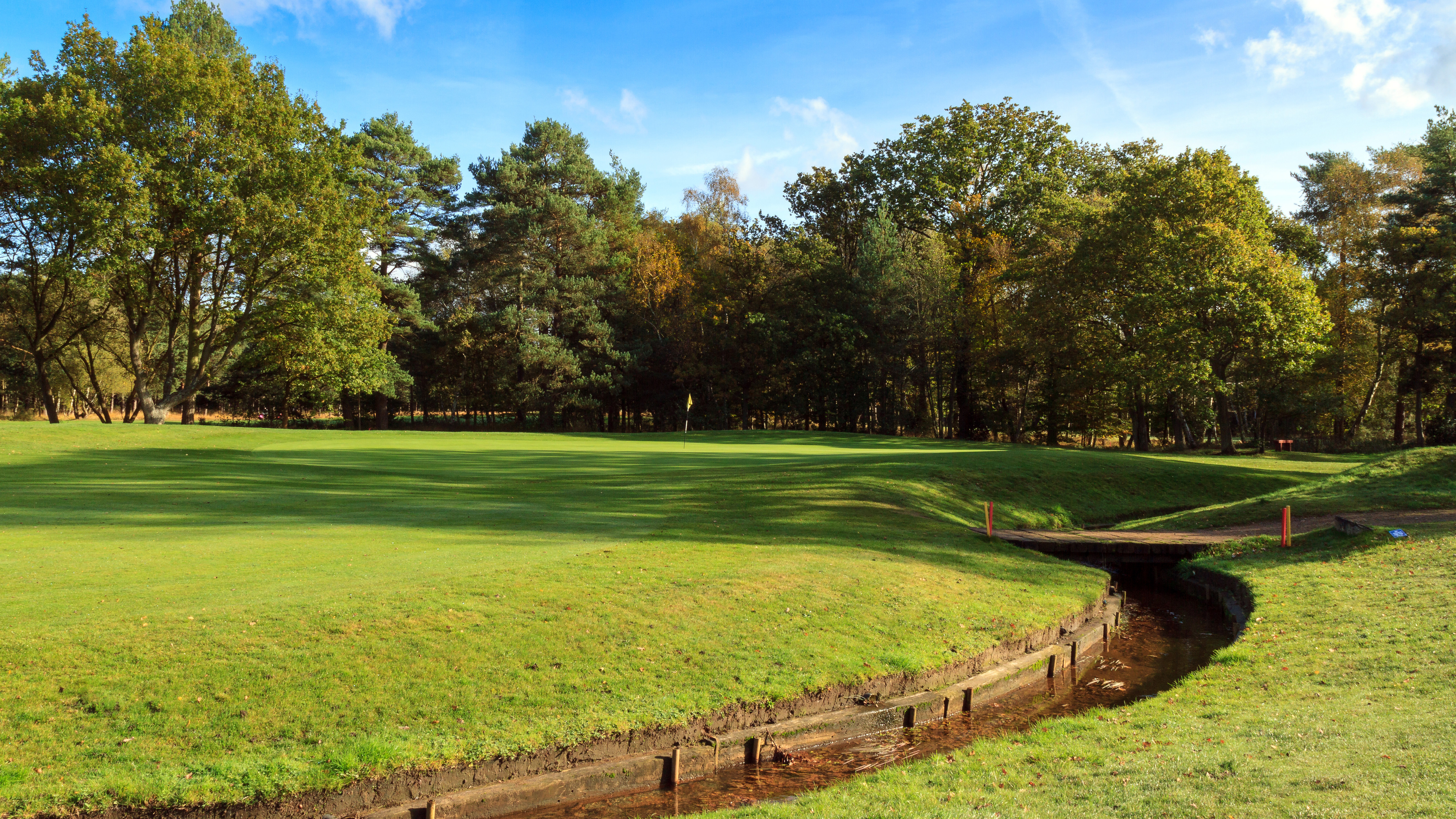 The Army - Hole 15