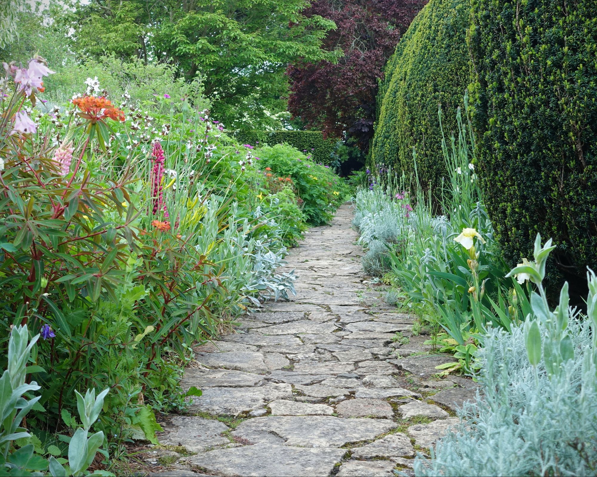Crazy paving pathway through a garden