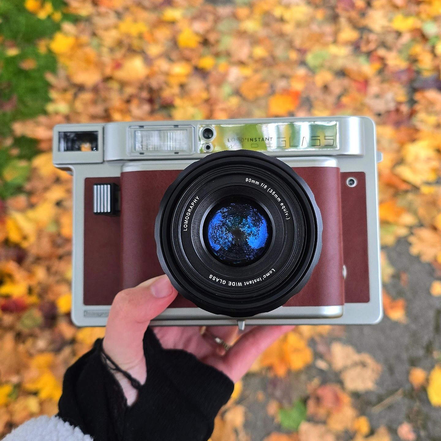 World Photography Day (don&#039;t reuse)