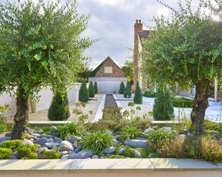 modern garden with olive trees, pebbles, gravel and rill