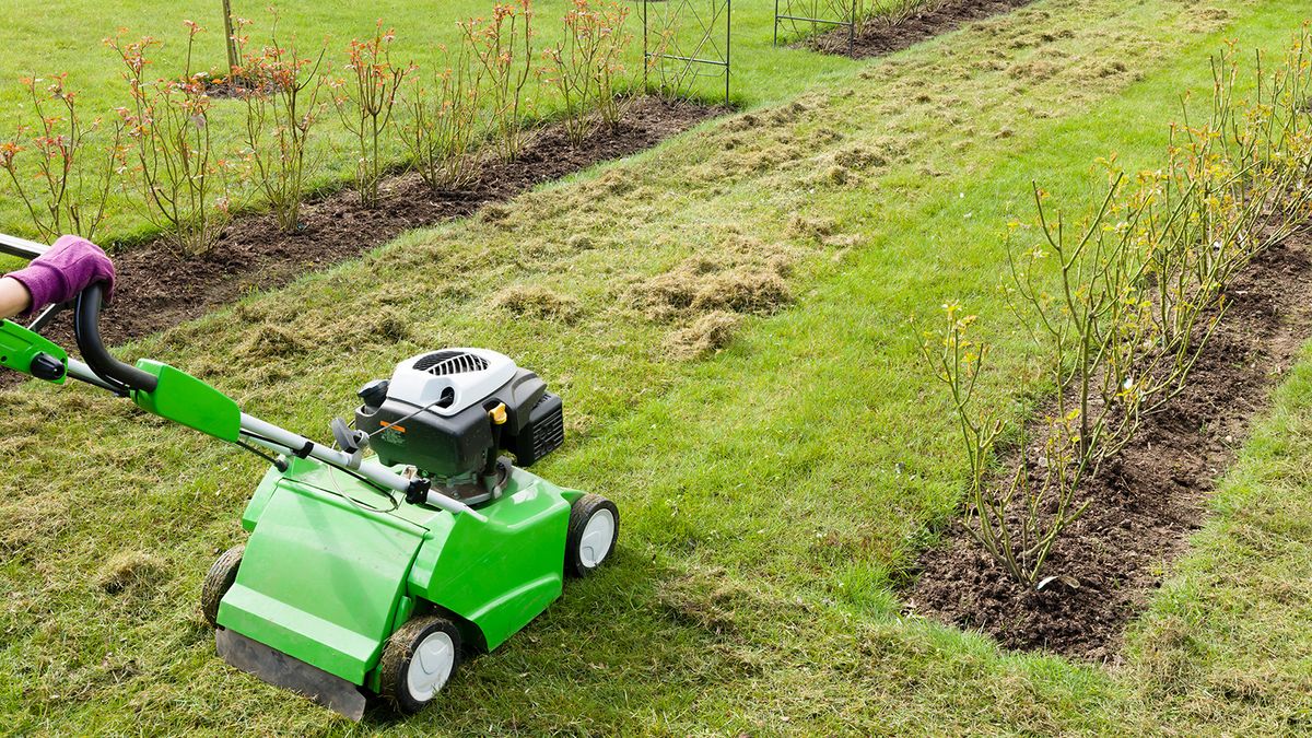 A scarifying tool being run over a lawn to remove dead grass and thatch