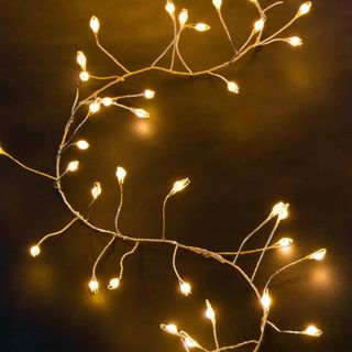 A string of fairy lights 