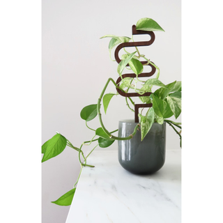 wooden mini plant trellis