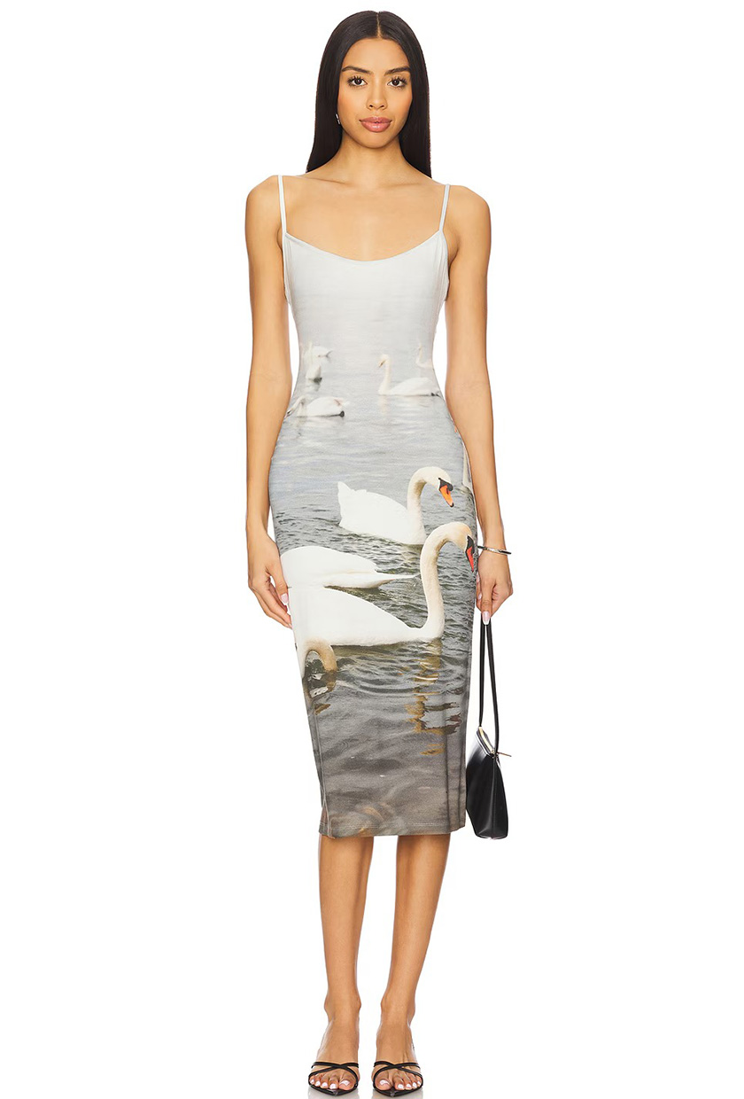 Tyler McGillivary, Swan Dress