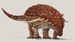 Borealopelta, a nodosaur dinosaur, looked like an armored tank.