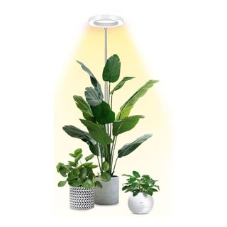 led indoor growth lamp for plants