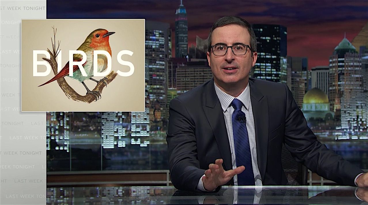 John Oliver hates birds