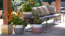 garden planter ideas: woodlodge two tone