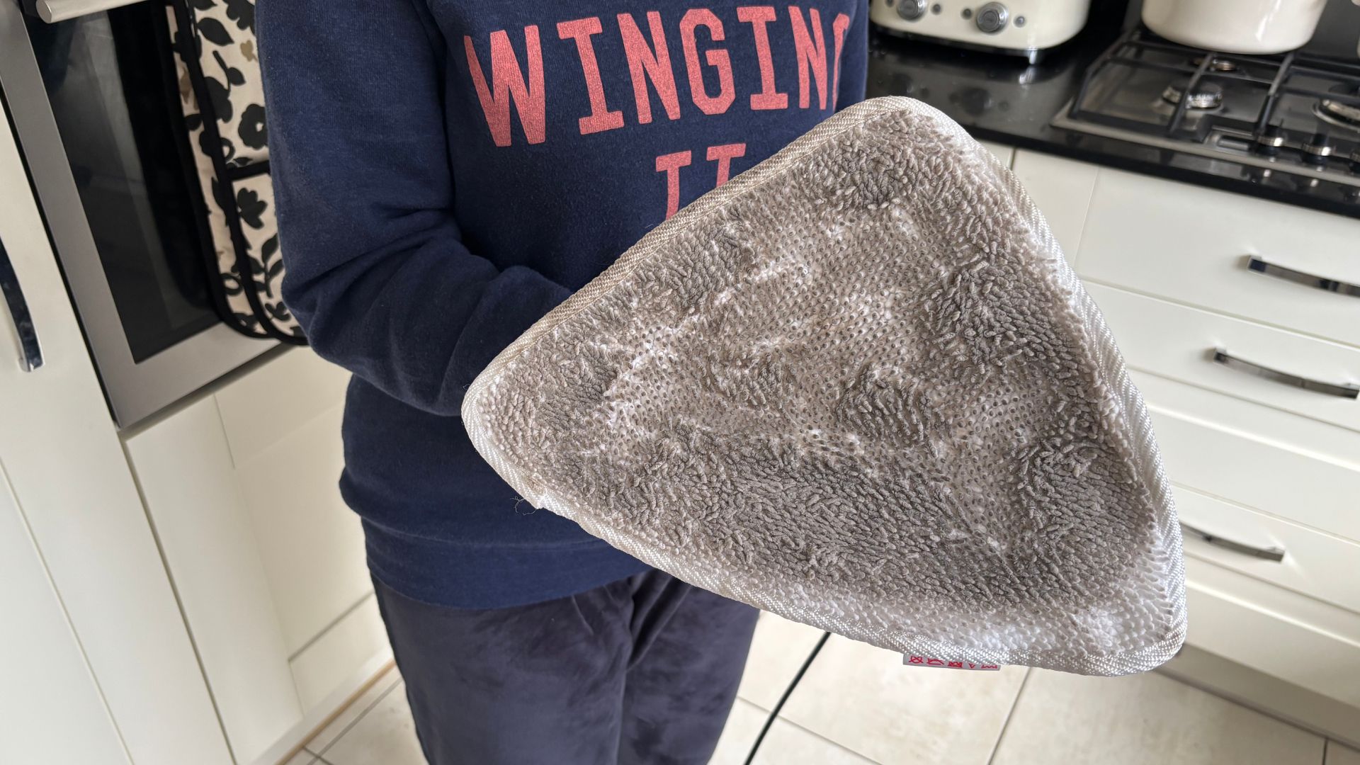 Testing the Vileda Steam Plus Steam Cleaner