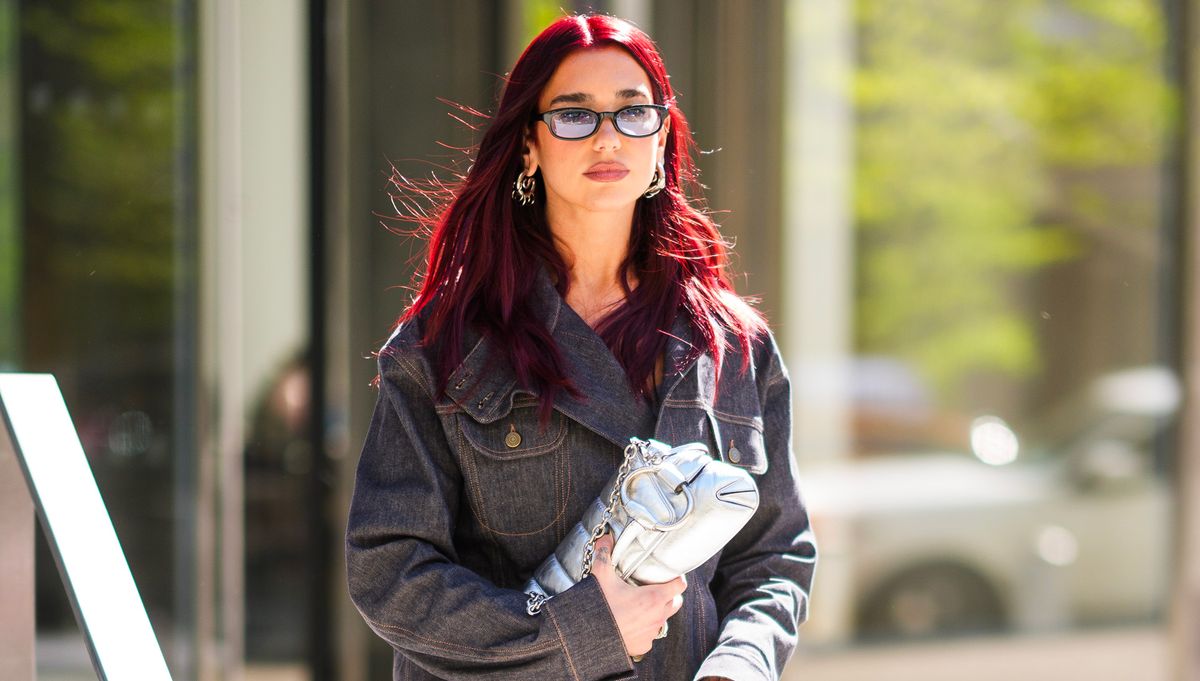 Dua Lipa's Summer It Bag Is a See-Through Alaïa Mesh Purse - Vimarsana News