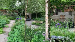 Collage of the forest bathing Garden as part of the RHS Chelsea Flower Show highlights
