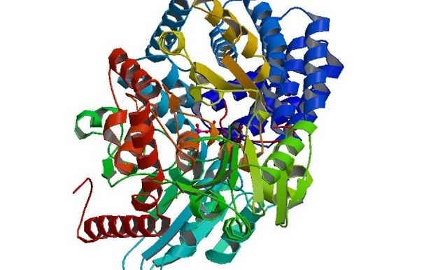 Molecular Simulation