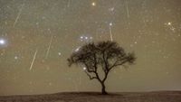 The moon sets and meteors fly by a lonely tree on the grassland.