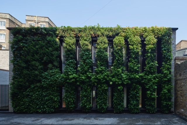 Green wall at plant works coworking space