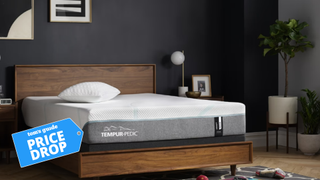 Tempur-Pedic Tempur-Adapt mattress