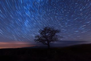 Star trails behind a tree in the Yorkshire Dales National Park.