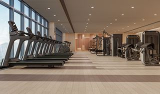 A modern, spacious gym with treadmills lined up opposite a window.