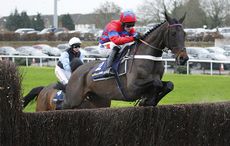 sprinter-sacre.jpg
