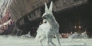 The Crystal Fox from Last Jedi