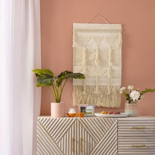 Wooden sideboard with plants in front of plaster pink wall with wall hanging