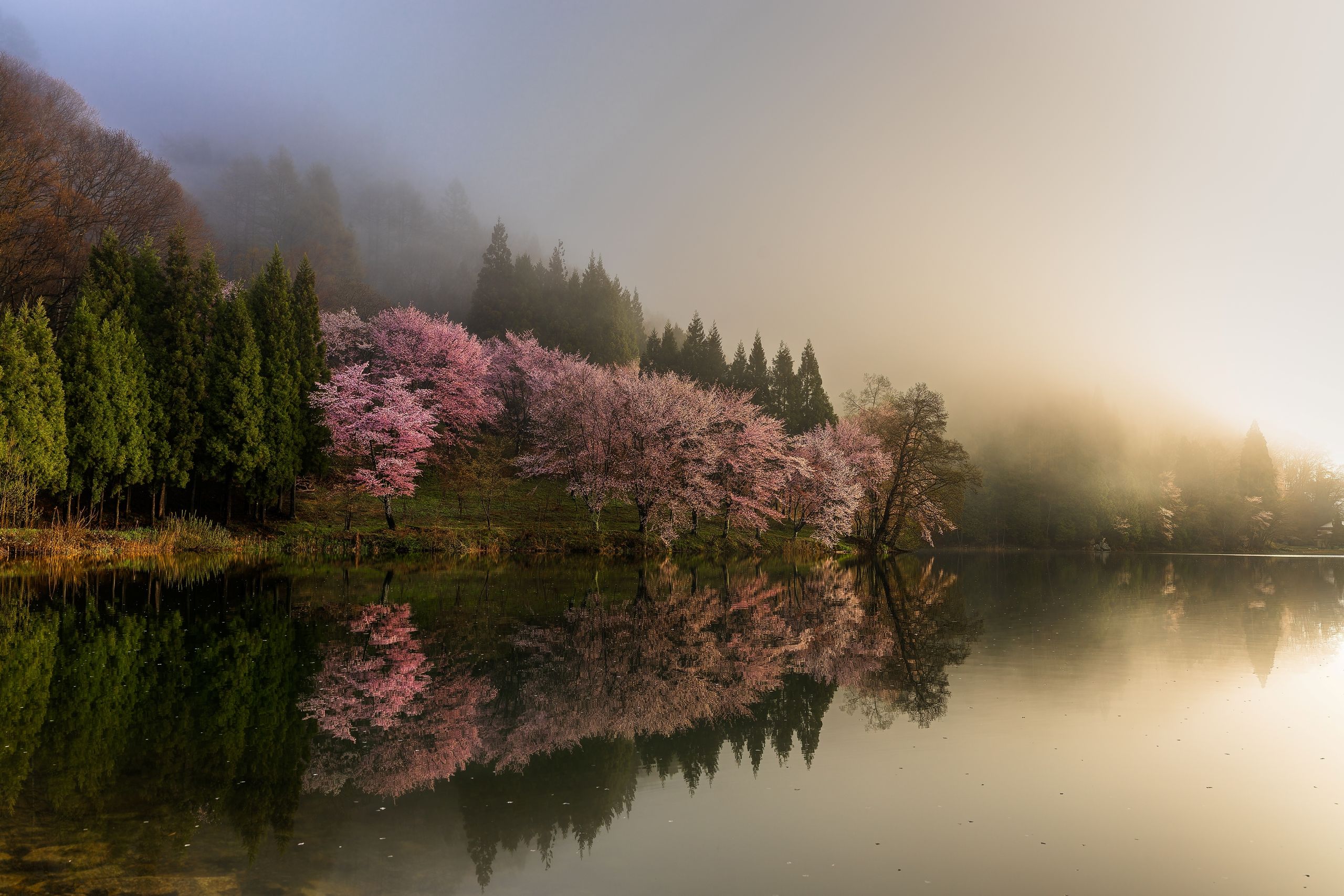 Shot with a Canon EOS R6 Mark II, this breathtaking panorama captures the profound stillness of Japan's countryside