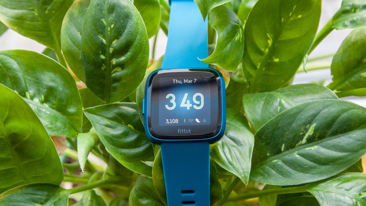 fitbit versa lite edition smartwatch reviews