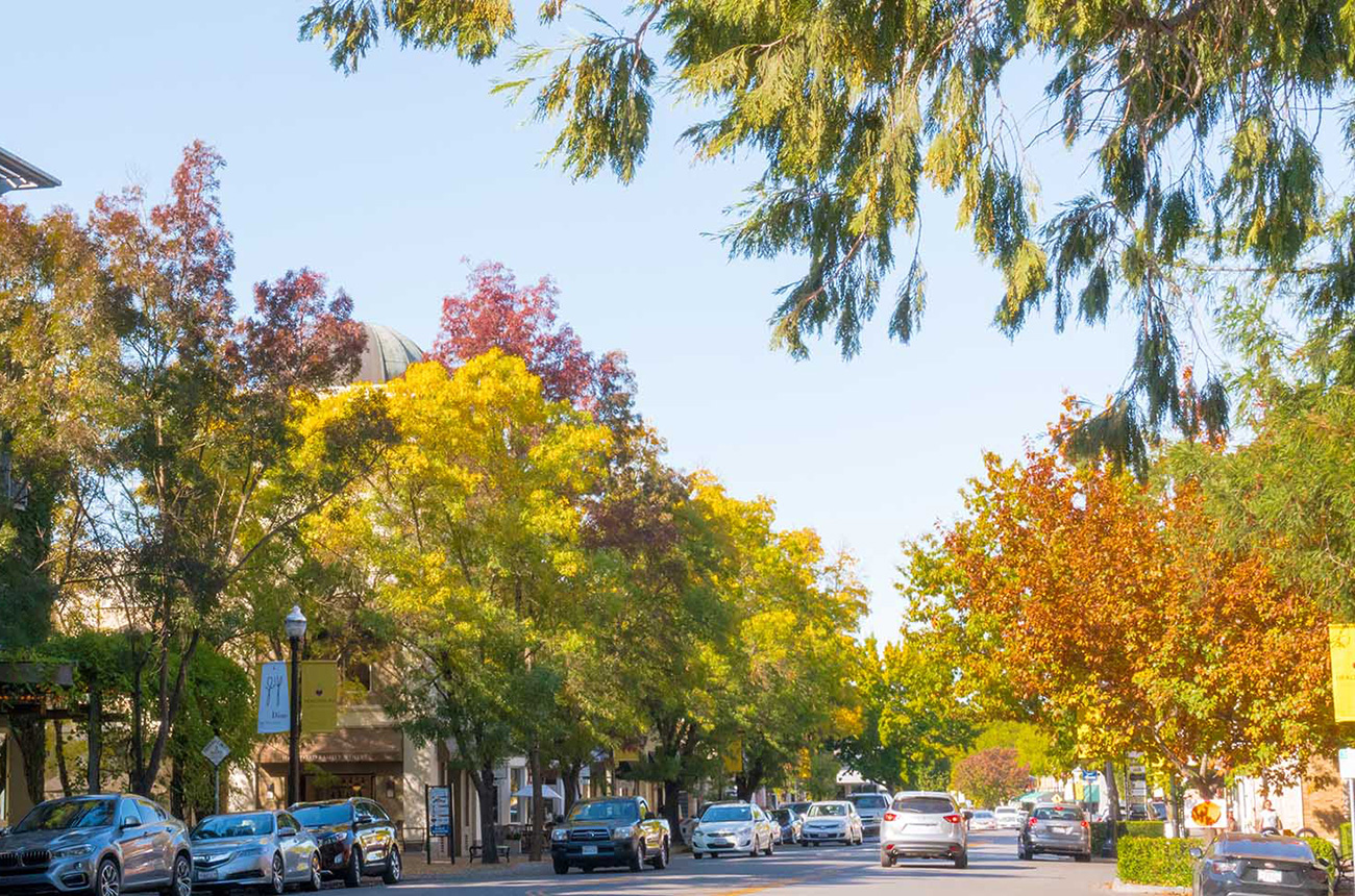 Healdsburg travel guide