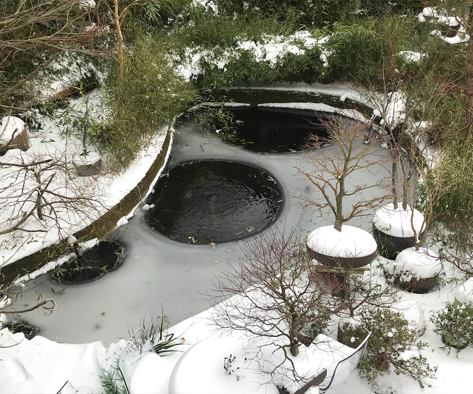 How to heat a pond in winter 5 ideas to prevent it freezing Homes