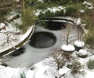 Image of large frozen koi pond in winter garden covered with ice and snow