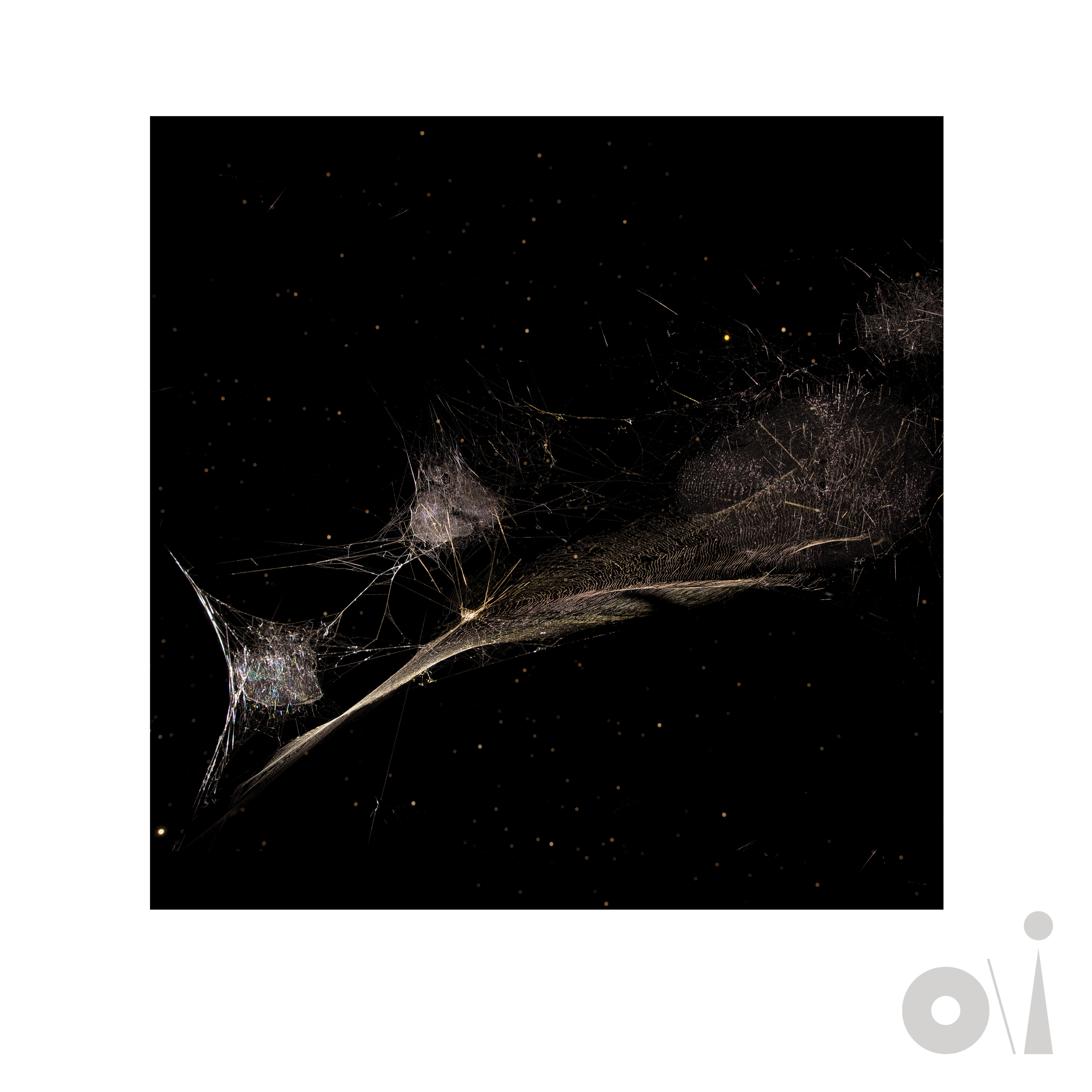 Peter Gabriel Put The Bucket Down cover art