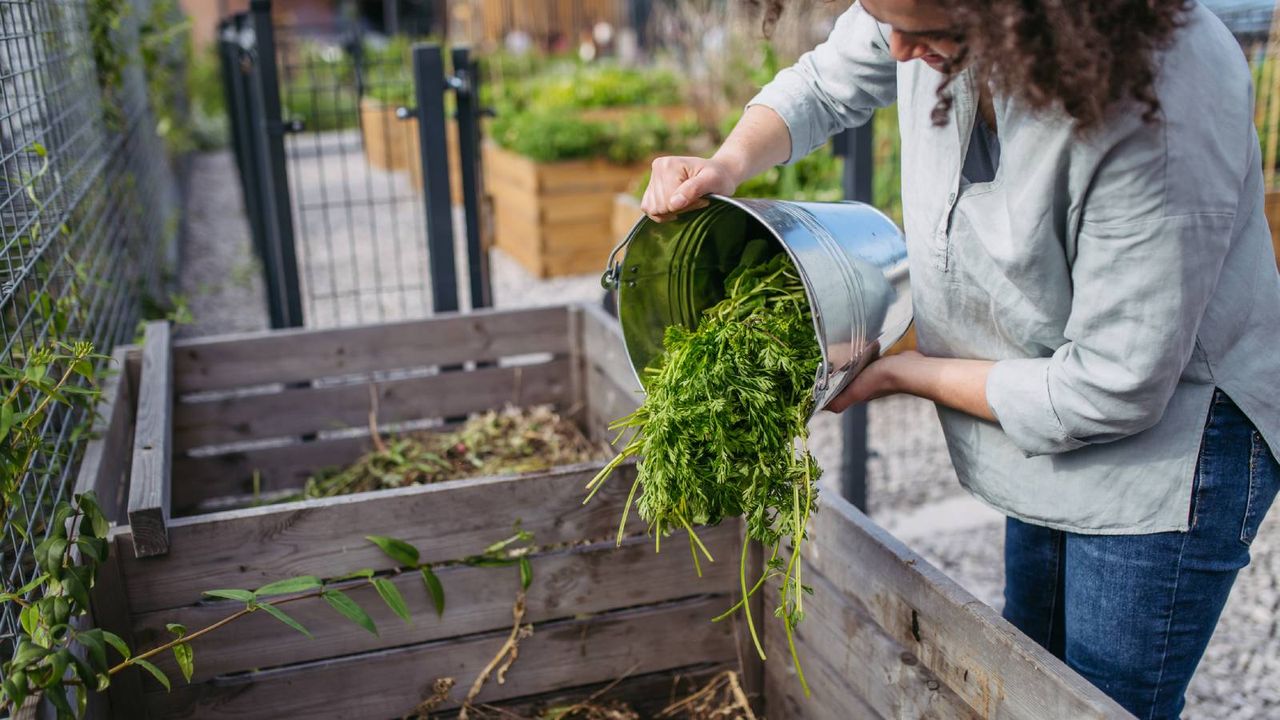 Woman pours bucket of garden scraps into compost bin