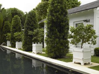 White planters beside pool with house behind