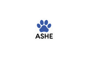 Ashe logo