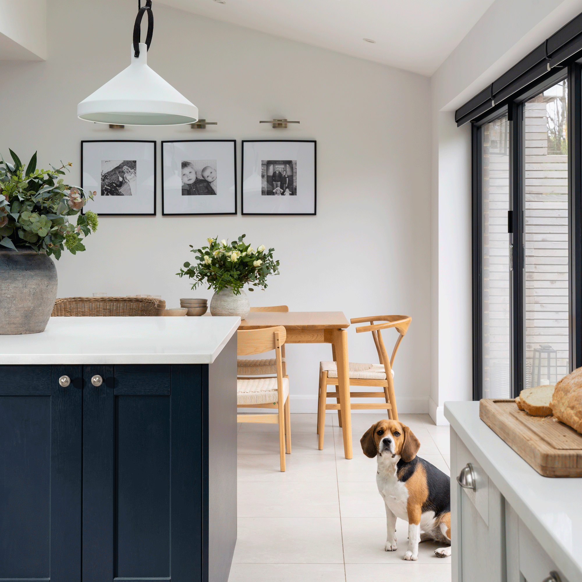 a dog in a neutral open plan kitchen diner with a black kitchen island with white worktop, a wooden table with matching wishbone chairs and patio doors