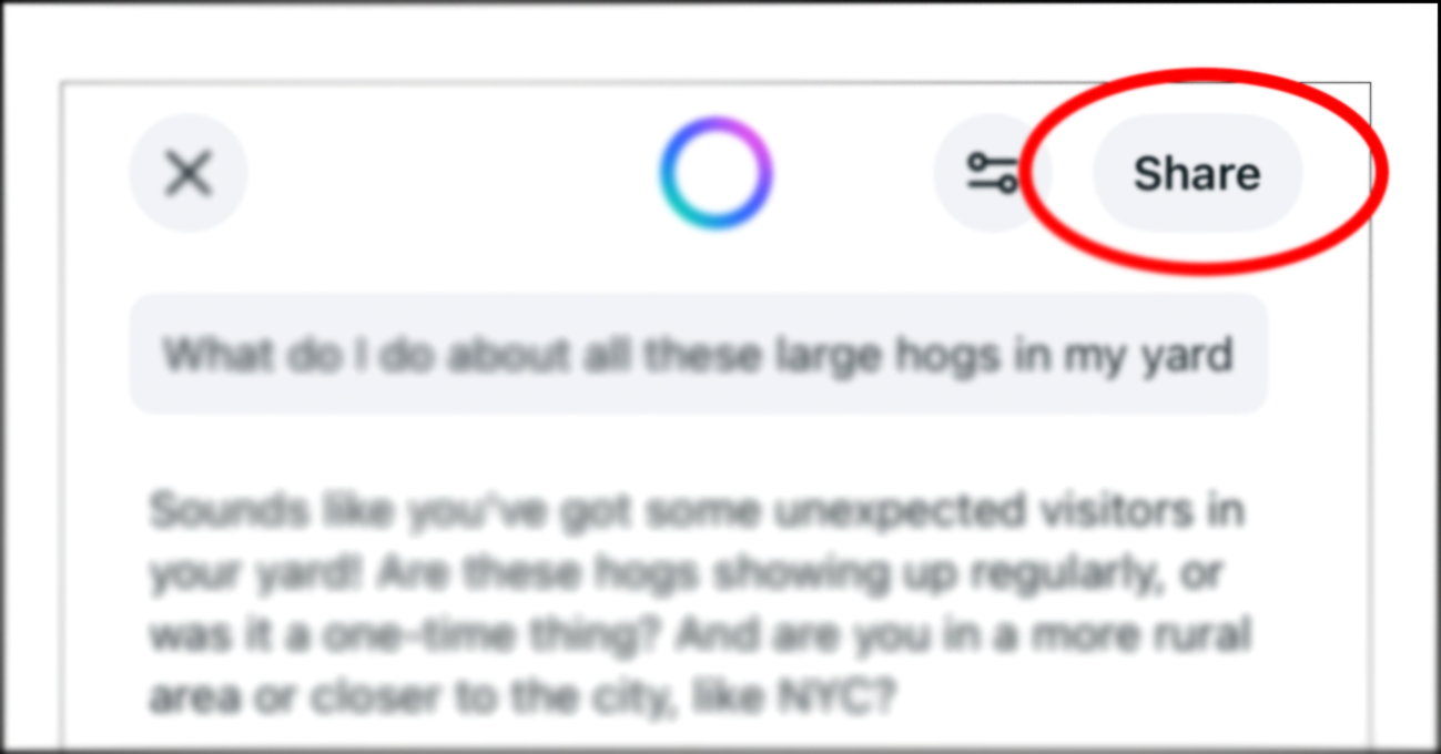 Screenshot of Meta AI app