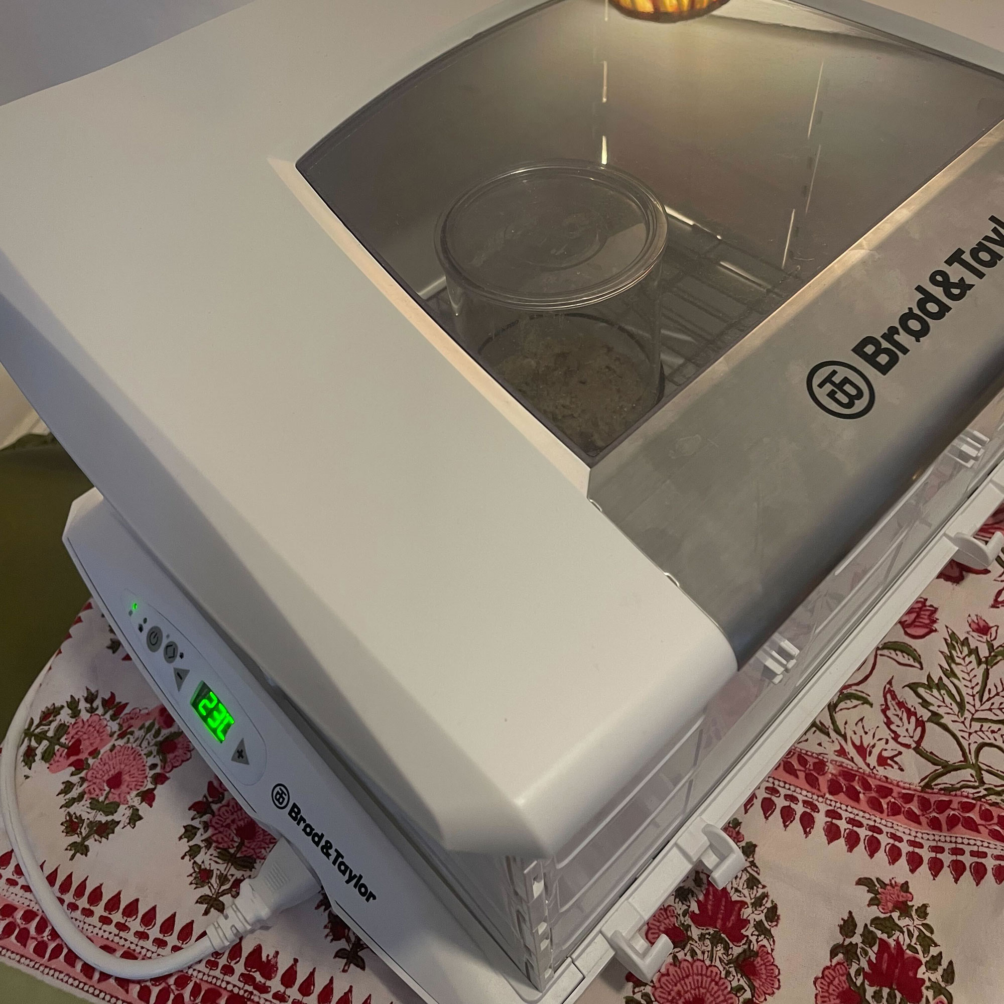 Jar of starter inside Brod &amp;amp; Taylor Folding Proofer