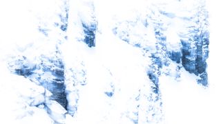 Mountain hare under bright daylight with high contrast and blue shadows