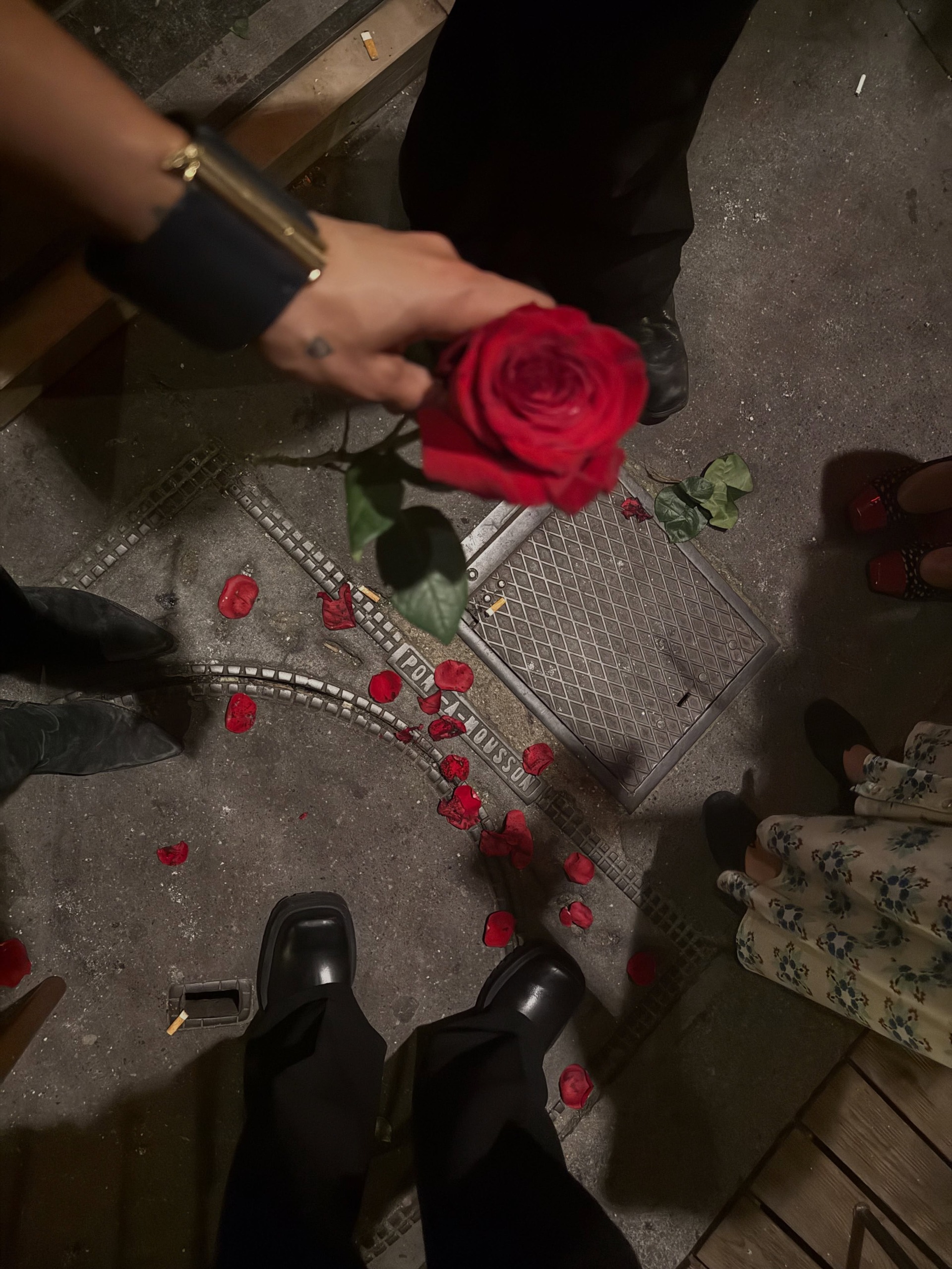 A rose with rose petals on the ground.