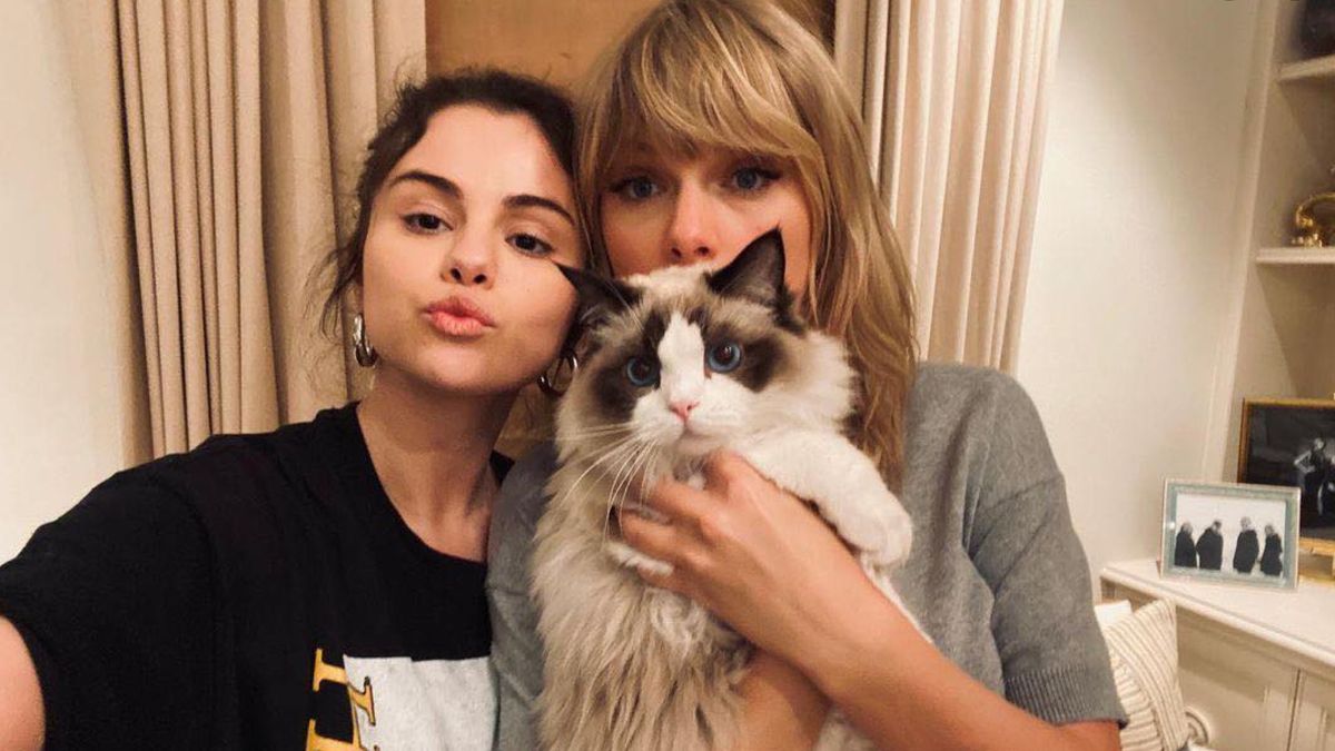 Taylor Swift joins TikTok - photo of the singer with Selena Gomez and her rag doll cat Benjamin Button