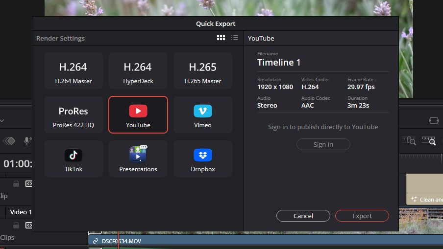 A screenshot of the editing panel of DaVinci Resolve 20