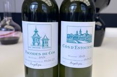 Bordeaux dry white 2024